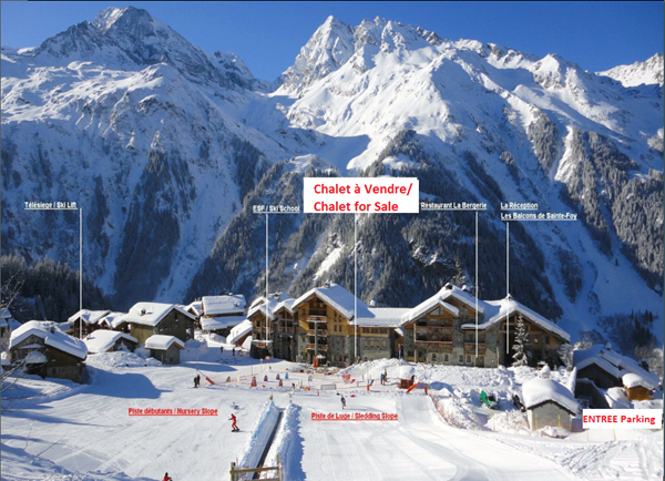 Te koop: Frankrijk ste Foy:  ,,Top'' luxe chalet met eigen zwembad direct aan de piste, (ski in ski out) vlakbij de grote skigebieden en pisten van les Arcs en Val d'isere ! 
